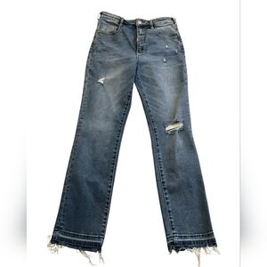 ​Anthropolgie Pilcro Distressed Straight Leg Jeans 30 Boho 90s Vintage Aesthetic